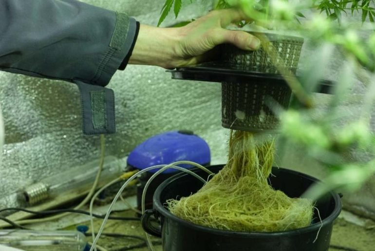 Fully Automated Hydroponic System For Indoor Plant Growth