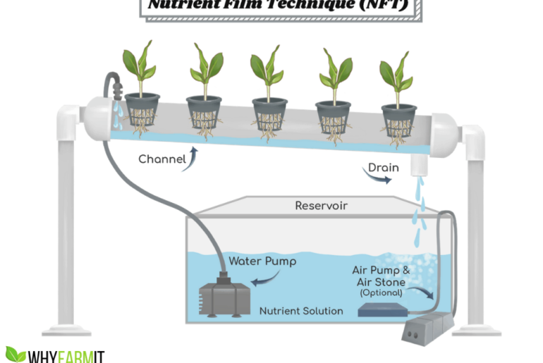 How to Make a NFT Hydroponic System How to Make a NFT Hydroponic System