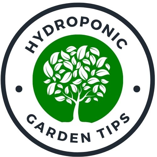 Hydroponic Garden Tips